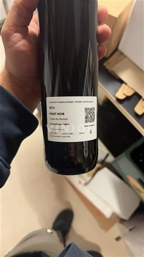 Alsace Pinot noir Clos Jangli 2016