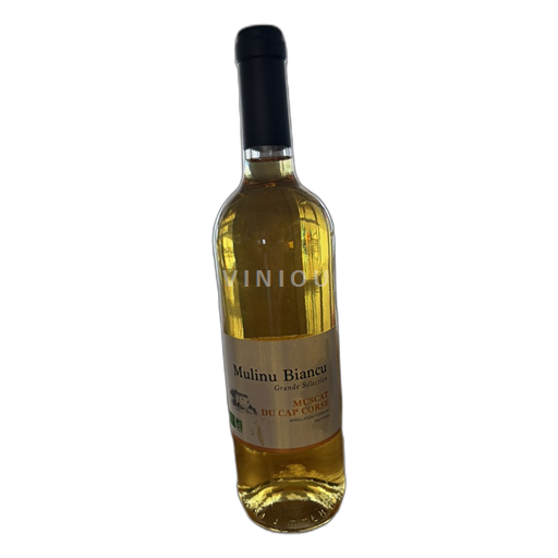 Corsica Muscat del Capo Corso Clos Santini Mulinu Biancu Grande Sélection Muscat du Cap Corse 2017