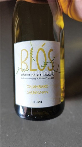 Lounais-Ranska Gascognen rinteet Blos Colombard Sauvignon 2024