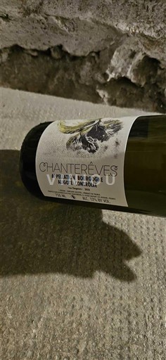 Bourgogne Bourgogne Aligoté Chanterêves Les Chagniots 2023