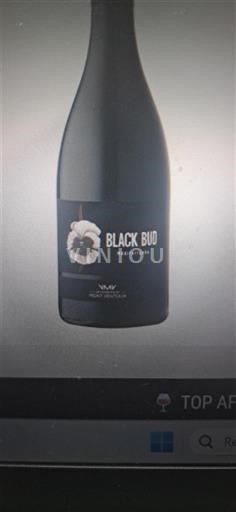 Provence, Unteres Rhônetal, Korsika Mittelmeer Veuve Noire Black Bud 2024