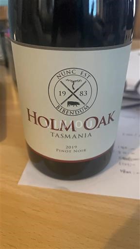 Tasmania Määrittelemätön Holm Oak 2019