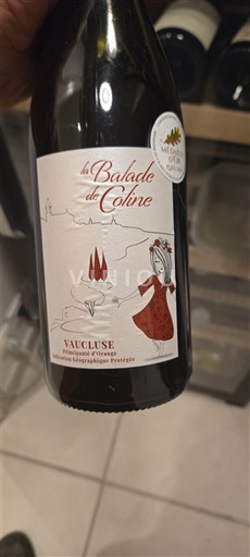 Provence, Lower Rhône Valley, Corsica Vaucluse La Balade de Coline 2023