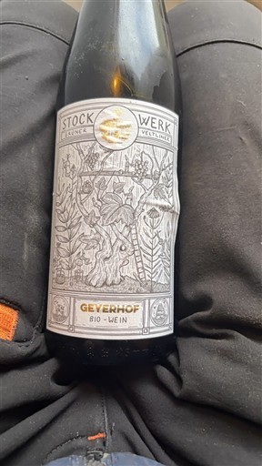 Víno Blanc sec StockWerk Geyerhof 2020 Rakousko Dolní Rakousko Kremstal DAC