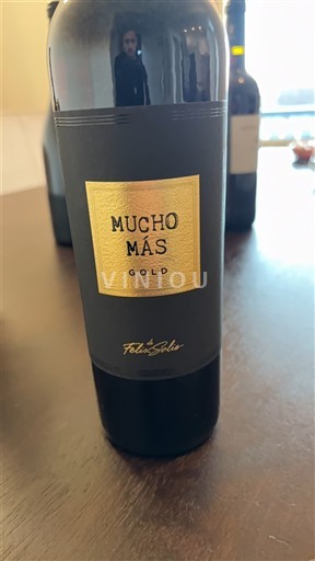 Kastiljija-La Mancha Ni doloceno Félix Solís Mucho Más Gold Neleten.