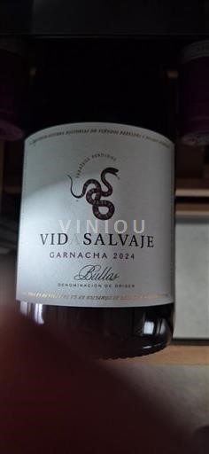 Rượu vang Rouge sec Vid Salvaje Buil & Giné 2024 Tây Ban Nha Aragon Calatayud DO