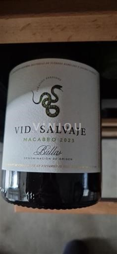 Múrcia Bullas Bodegas Latúe Vid Salvaje 2023