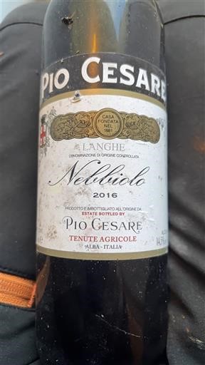 Piamonte Langhe Pio Cesare Nebbiolo 2016