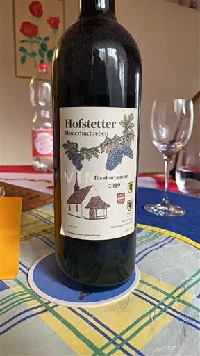 Baden Hofstetter Hinterbuchreben 2019