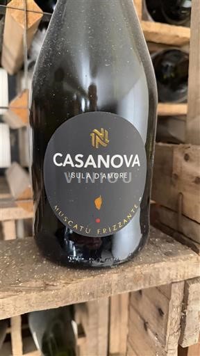 Korsika Muscat du Cap Corse Casanova Isula d'Amore Ei vuosikertaa