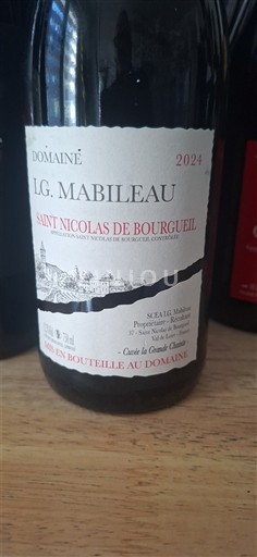 Loiretal Saint-Nicolas-De-Bourgueil Domaine LG. Mabileau 2024