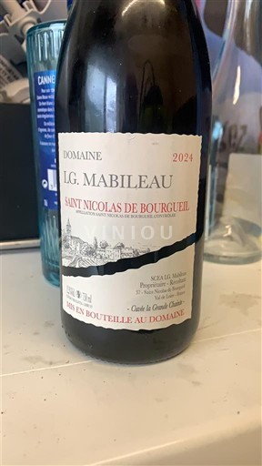 Loire Valley Saint-Nicolas-De-Bourgueil Domaine LG. Mabileau 2024