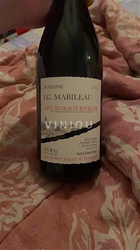 Loiretal Saint-Nicolas-De-Bourgueil Domaine LG. Mabileau 2024