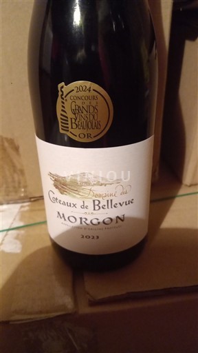 Beaujolais Morgon Domaine S Coteaux de Bellevue 2023