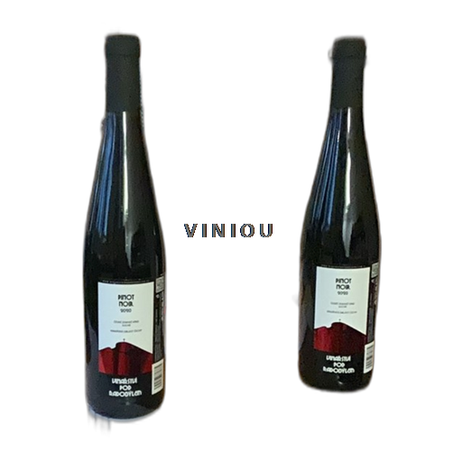 Wines Rouge sec Cuvé Vinarství pod Radobýlem 2020 Czech Republic Bohemia Litomerická