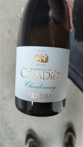 Languedoc y Rosellón País de Oc Domaine Cibadiès Chardonnay 2024