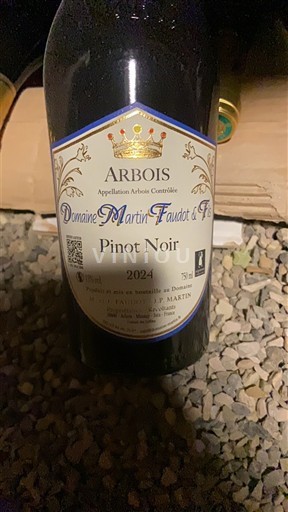 Jura Arbois Domaine Martin-Faudot et Fils Pinot noir 2024
