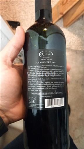 Vale do Maipo Maipo Central Grand Carmenère 2021