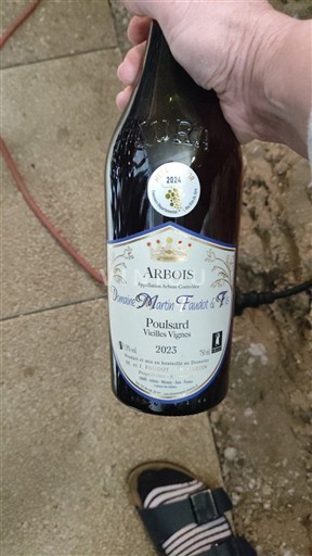 Jura Arbois Domaine Martin-Faudot & Fils Poulsard Vieilles Vignes 2024