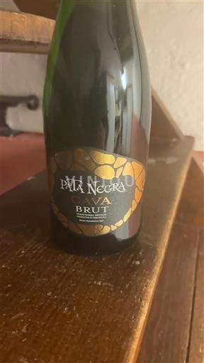Catalogna Cava Pata Negra VA Brut Senza annata