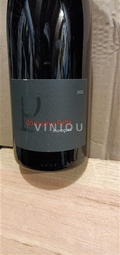 Valle del Loira Menetou-Salon Domaine Pellé Morogues 2022