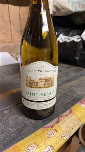 Borgogna Saint-Véran Domaine Val Lamartinien 2024