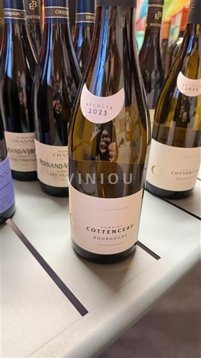 Borgoña Domaine Cottenceau 2023