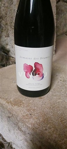 Valle del Loira No especificado Domaine S Brumes 2023