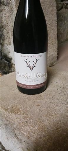 Loire Valley Coteaux d'Ancenis Domaine Bellevue Roches Grises 2018