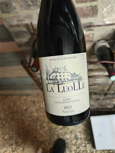 Borgonha Givry La Luolle Les Plants Sont Fleurs 2023