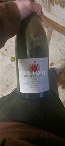 Baden Dörflinger 2013