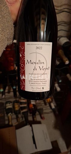 Beaujolais Moulin-à-vent Sous les Bois du Parc 2022