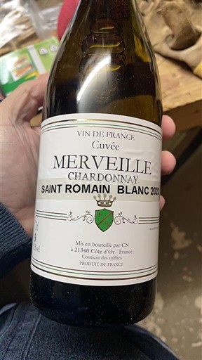 Bourgondië Saint-Romain Inconnu 2023