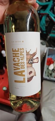 Valais La Vache des Alpes Non Millésimé