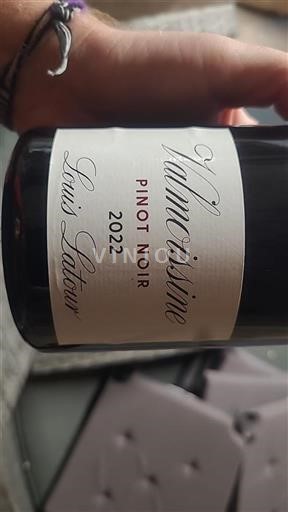 Alsace Pinot noir Louis Latour Valmoissine 2022