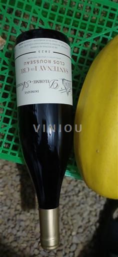 Burgundy Santenay Premier Cru Domaine Delorme-Andrieu Clos Rousseau 2023