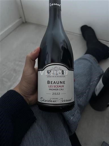 Burgundija Beaune Premier Cru Domaine Désertaux-Ferrand Les Seaux 2022