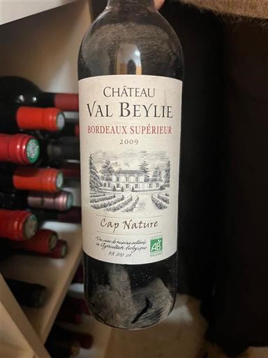 Bordeaux Bordeaux Supérieur Château Val Beylie Cap Nature 2009