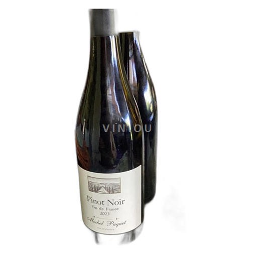 Bourgogne Michel Paquet Pinot Noir 2023