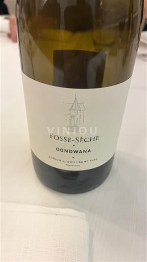 Loirevallei Saumur Fosse-Sèche Gondwana Niet-geïntegreerd