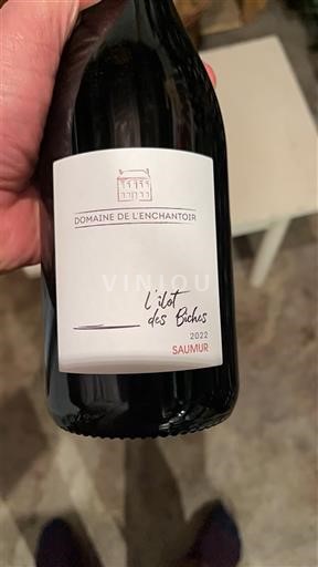 Valle della Loira Saumur Domaine L'Enchantoir L'îlot des Bûches 2022
