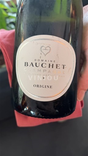 Champagne Șampanie Domaine Bauchet Origine Nemilésimat