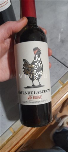 Sud-Ouest Côtes de Gascogne La Tête de Sogne Non Millésimé