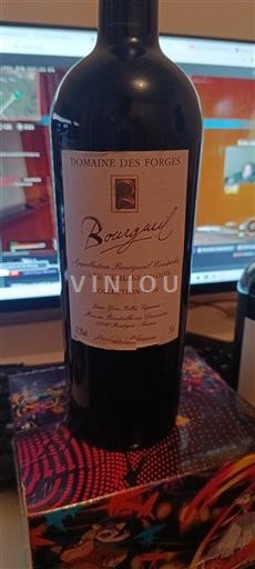 Valle del Loira Bourgueil Domaine S Forges Vieilles Vignes 1996