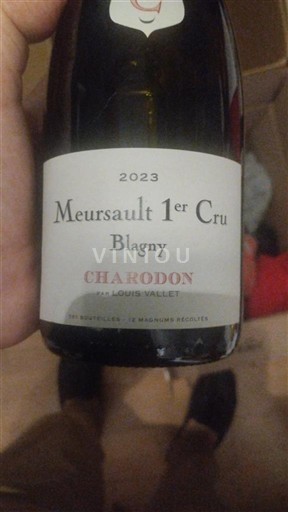 Burgund Meursault Premier Cru Charodon Blagny 2023