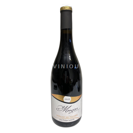 Beaujolais Morgon Domaine des Foudres Côte du py 2022