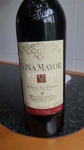Castilien og León Ribera del Duero Viña Mayor Crianza 1996