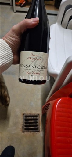 Burgundija Nuits-Saint-Georges Domaine Benguigui Les Brumières 2021