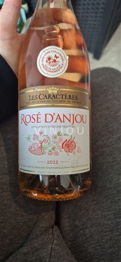 Vale do Loire Rosé d'Anjou Les Caractères 2022