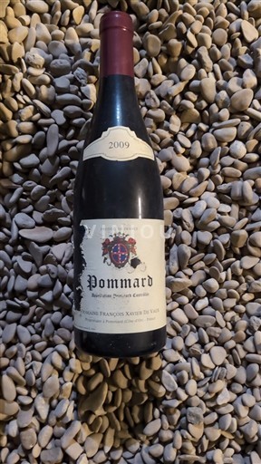 Vini Rouge sec Domaine François Xavier de Valois 2009 Francia Borgogna Pommard AOC